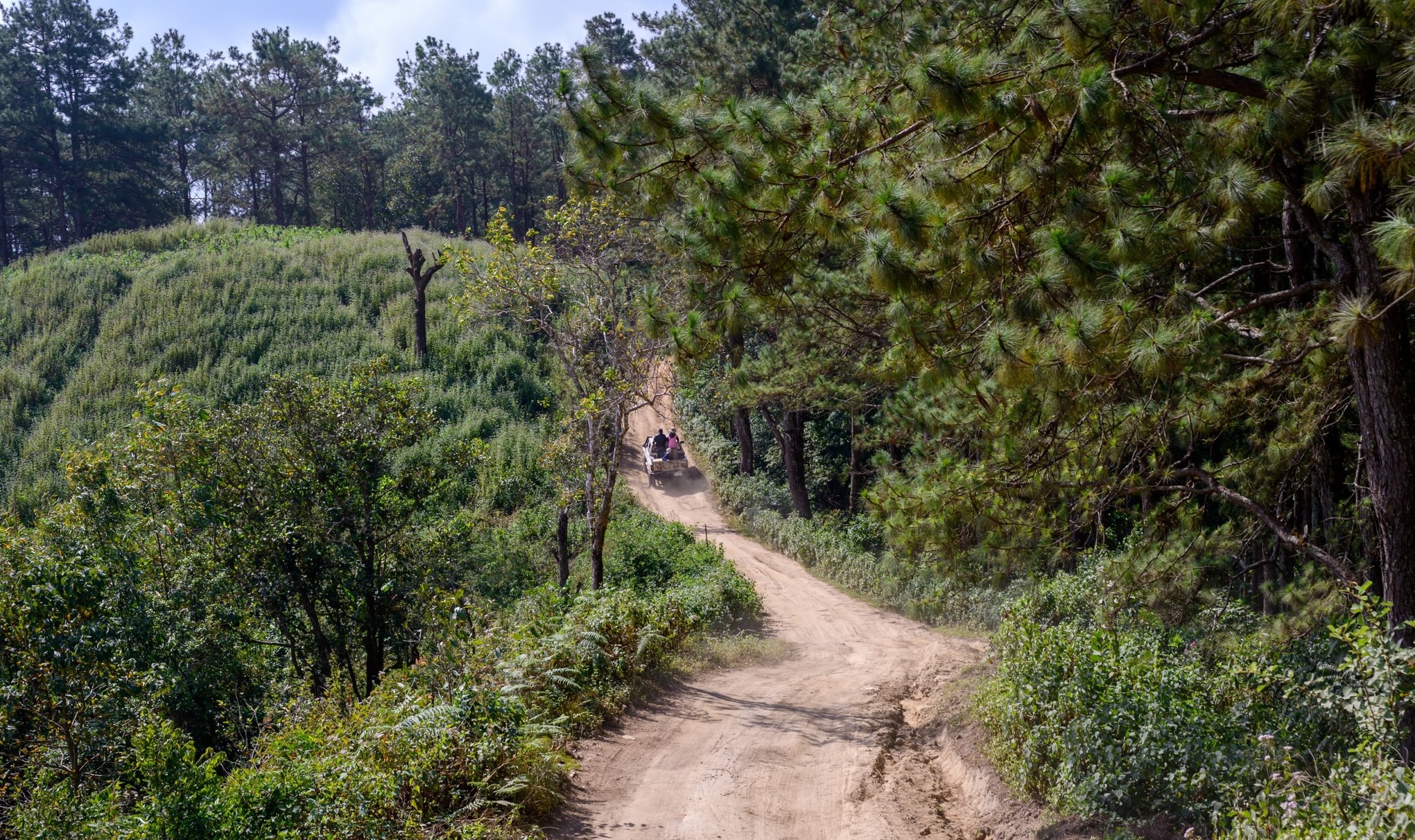 Image is not available